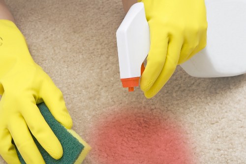 Steam carpet cleaning for a Hollandpark living room carpet