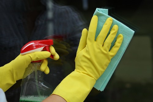 Cleaner Hollandpark cookie policy introduction with website privacy context