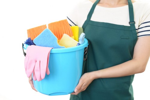Professional one off cleaning for a Hollandpark home with detailed room care