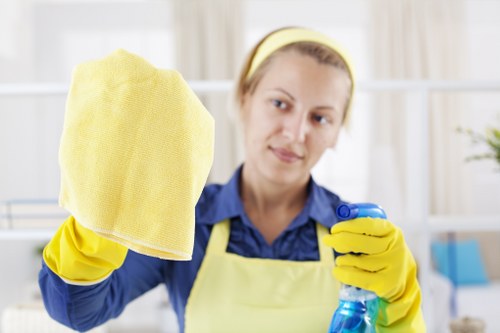 Regular cleaning of a Hollandpark meeting room and shared office area