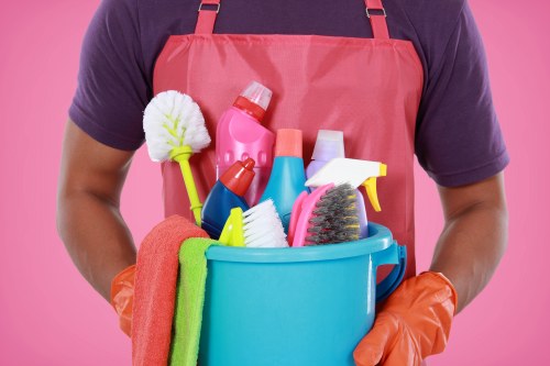 Professional stain removal for carpets in Hollandpark home interiors