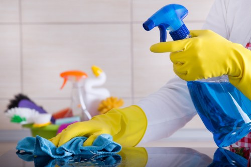Local deep cleaning service for homes in Hollandpark