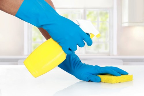 Local regular cleaning support for a Hollandpark office space