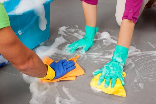 Professional deep cleaning for Hollandpark apartments and period homes