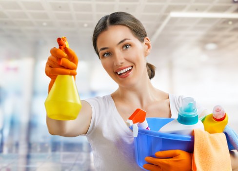 Professional oven cleaning service for a Hollandpark home kitchen