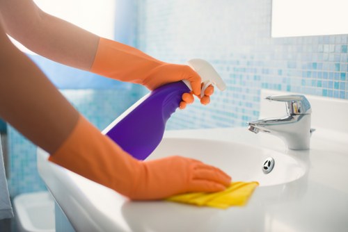 Professional house cleaning service for a Hollandpark family home