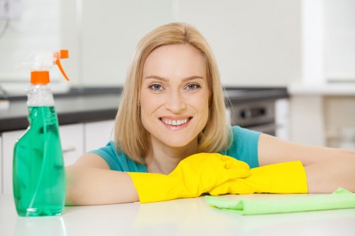 Cleaner preparing to clean glass on a Hollandpark business property