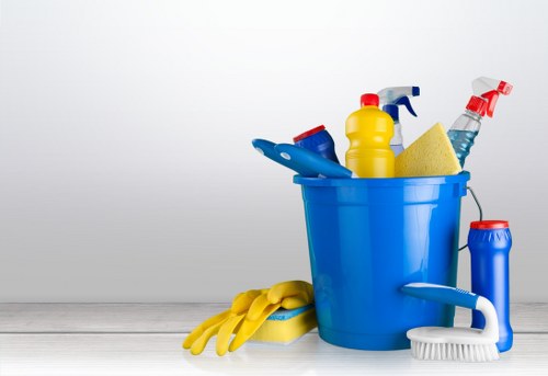 Cleaning specialist handling delicate fabric stain treatment in Hollandpark