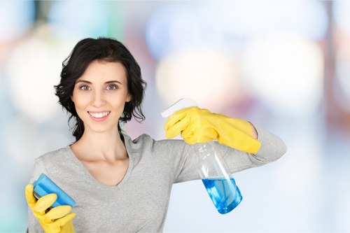 Turnover cleaning checklist for a guest-ready rental in Hollandpark