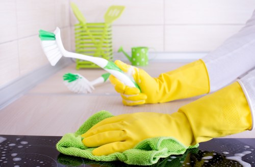 One off cleaning for a Hollandpark flat, including floors, surfaces, and finishing touches