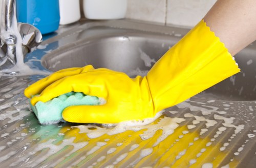 Gutter cleaning service for a townhouse in Hollandpark with limited access