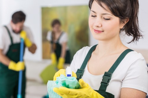 Careful upholstery cleaning for a living room sofa