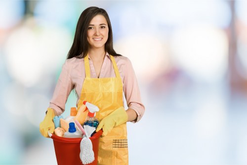 Deep cleaning for offices and commercial spaces in Hollandpark