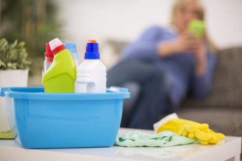Cleaner vacuuming and dusting in a Hollandpark apartment