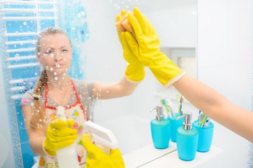 Deep cleaning tasks in a Hollandpark kitchen and bathroom