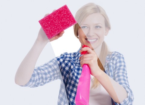 Ongoing cleaning for a flat or apartment in Hollandpark