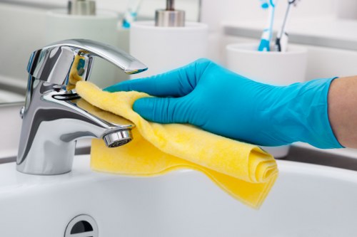 Local stain removal service for apartment and rental properties in Hollandpark