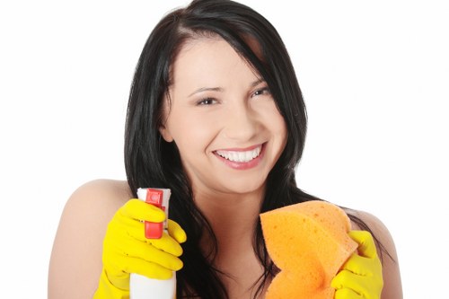 Local window cleaners servicing Hollandpark properties and shopfronts