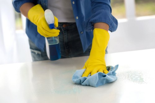 Cleaning stained brick and stonework on a Hollandpark property