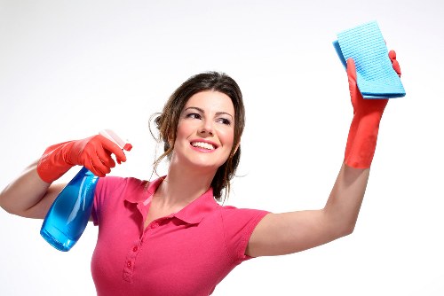 Local domestic cleaner preparing a tidy living room in Hollandpark