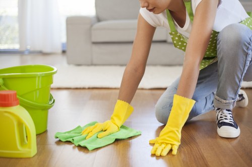 Vacant Hollandpark flat cleaned and ready for inspection after moving out