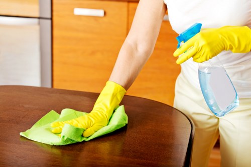 Upholstery stain treatment for a sofa in Hollandpark property
