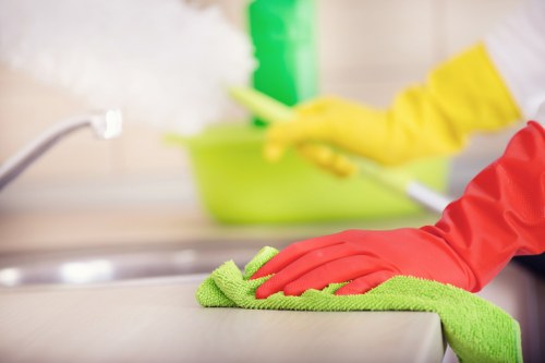 Deep cleaning of a built-in oven and racks in Hollandpark