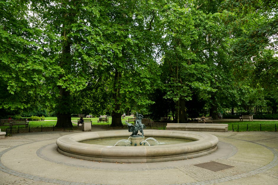 A circular stone fountain with a bronze sculpture of a person riding a dolphin spouts water into the basin, located in a park surrounded by lush green trees with dense foliage. The paved area around the fountain is clean and has a pattern of concentric circles, with benches and lamp posts visible in the background, indicating a well-maintained outdoor space designed for relaxation. Natural daylight illuminates the scene, highlighting the cleanliness and tranquility of the setting, reflecting the importance of surface cleaning and maintenance in public parks, as promoted by Cleaner Holland Park's domestic cleaning and sanitisation services.
