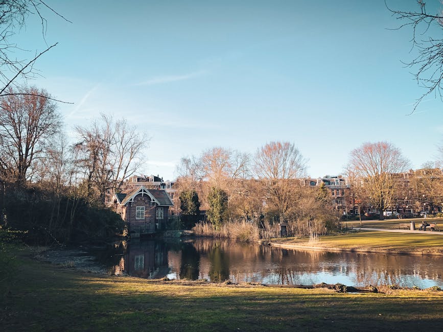 A scenic view of a tranquil park with a small pond reflecting the surrounding leafless trees and a charming brick house with a steep roof. The park has well-maintained grassy areas and a paved path visible on the right. The sky is clear with a few wispy clouds, suggesting a bright, sunny day. This peaceful outdoor setting showcases natural surfaces such as grass, water, bricks, and wood, and the overall scene appears clean and well-kept, emphasizing the importance of regular maintenance and sanitisation in both outdoor and indoor environments. Cleaner Holland Park specializes in comprehensive cleaning services, including surface cleaning, deep cleaning, and sanitisation, to help maintain hygienic and pristine spaces in residential and commercial settings.